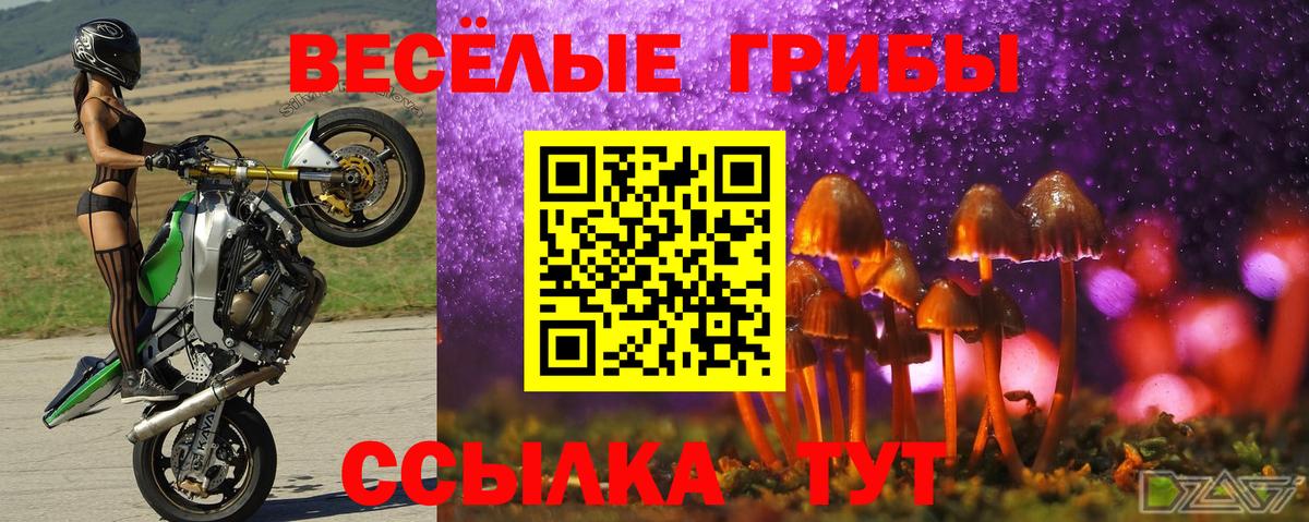 Галлюциногенные грибы ЛСД Воскресенск